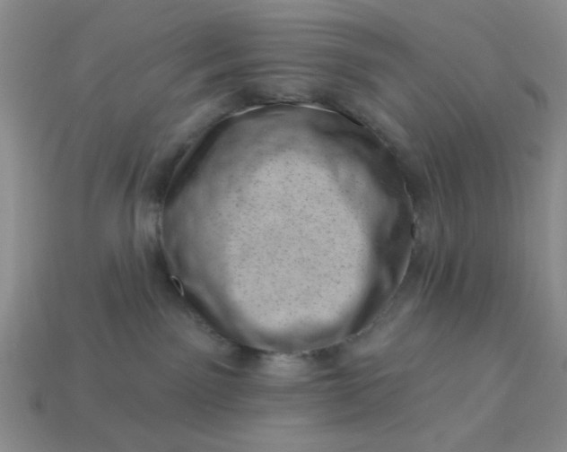 X0000113000141200909101804