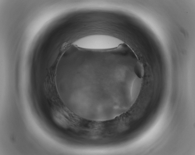 X0000113000143200909101804