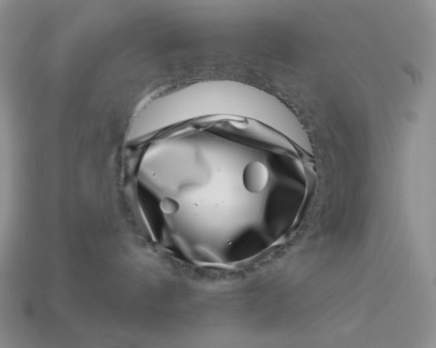 X0000113000144200909101804