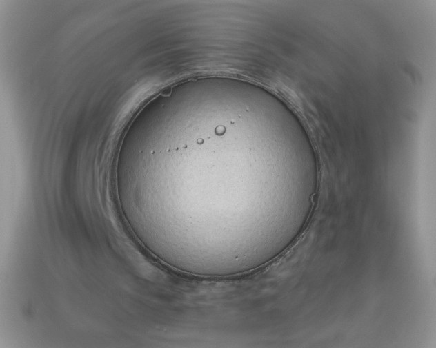 X0000113000145200909101804