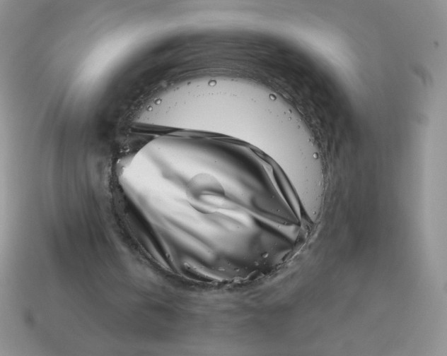 X0000113000146200909101804