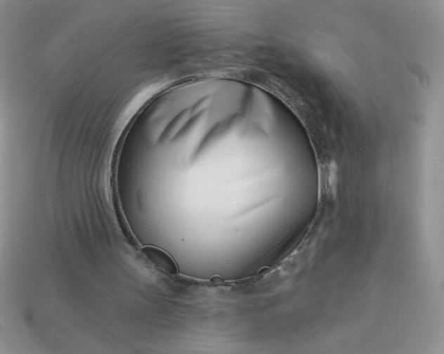 X0000113000147200909101804