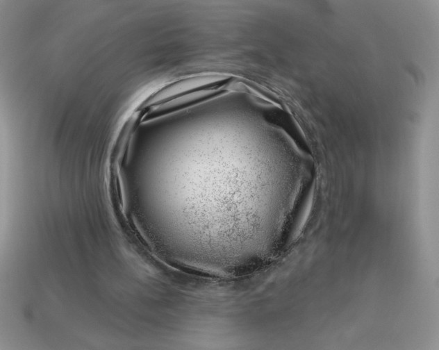 X0000113000148200909101804