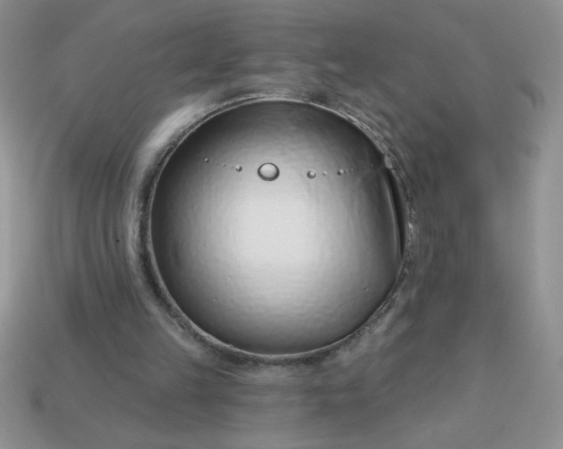 X0000113000149200909101804