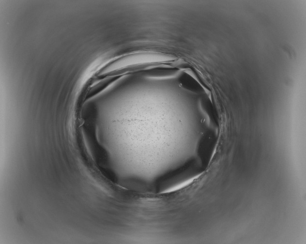 X0000113000150200909101804