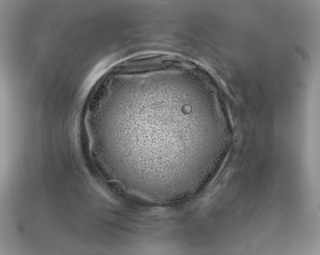 X0000113000151200909101804