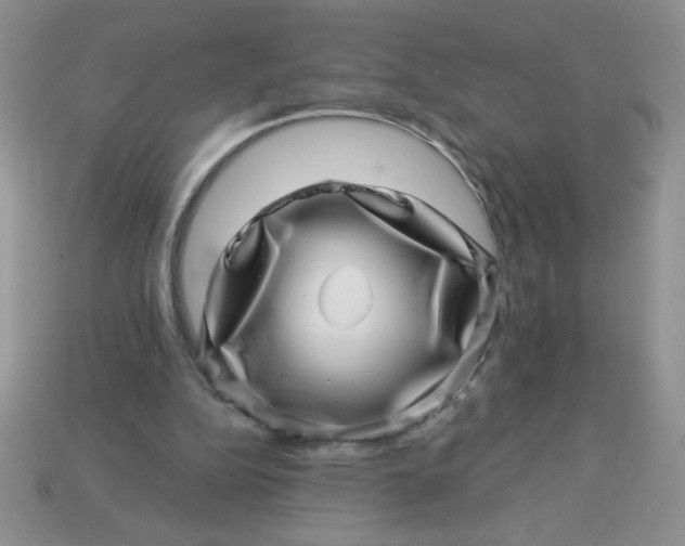 X0000113000152200909101804