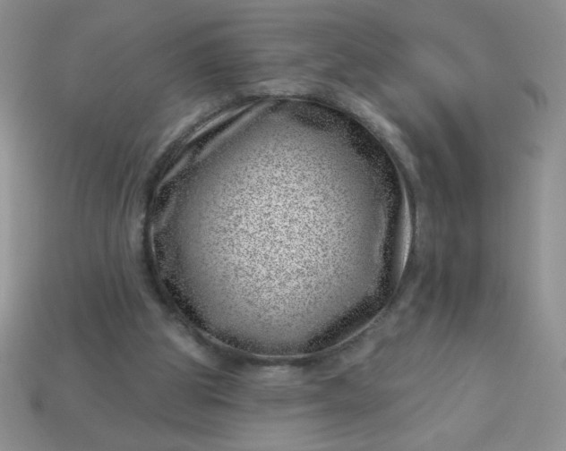 X0000113000153200909101804