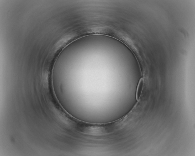 X0000113000154200909101804