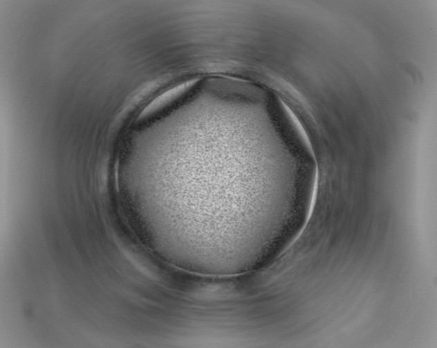 X0000113000155200909101804