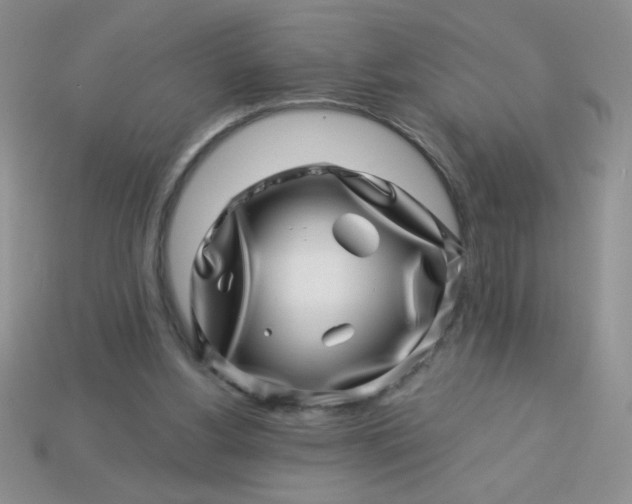 X0000113000156200909101804