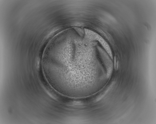 X0000113000157200909101804