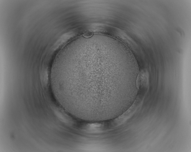 X0000113000158200909101804