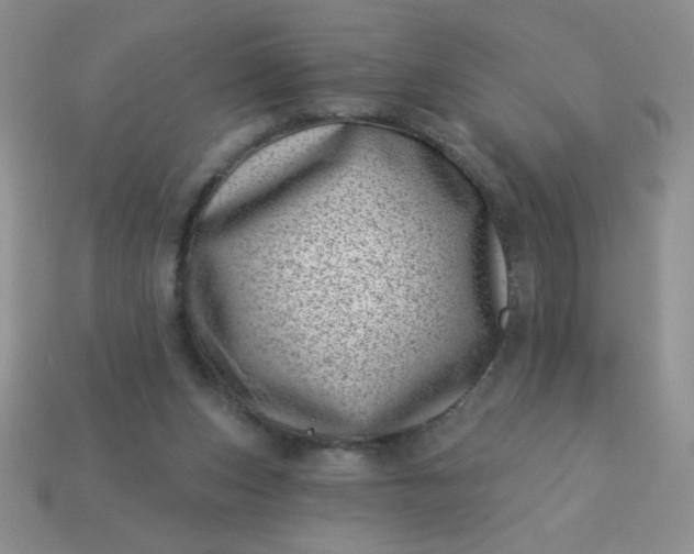 X0000113000159200909101804