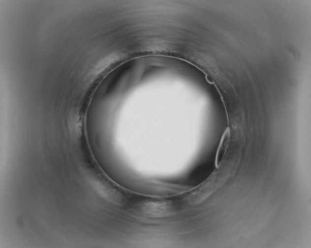 X0000113000160200909101804