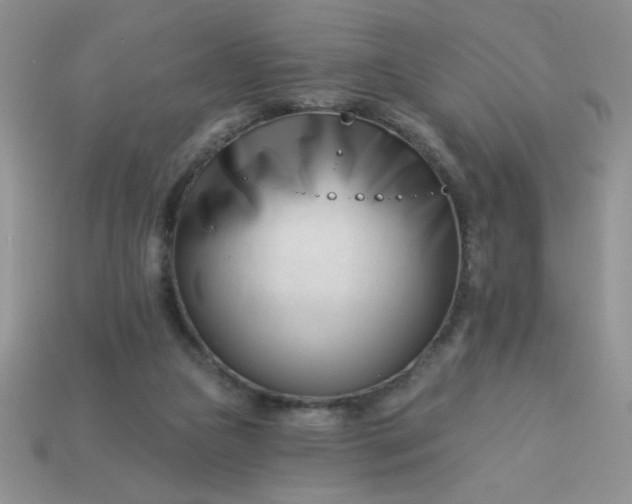 X0000113000161200909101804