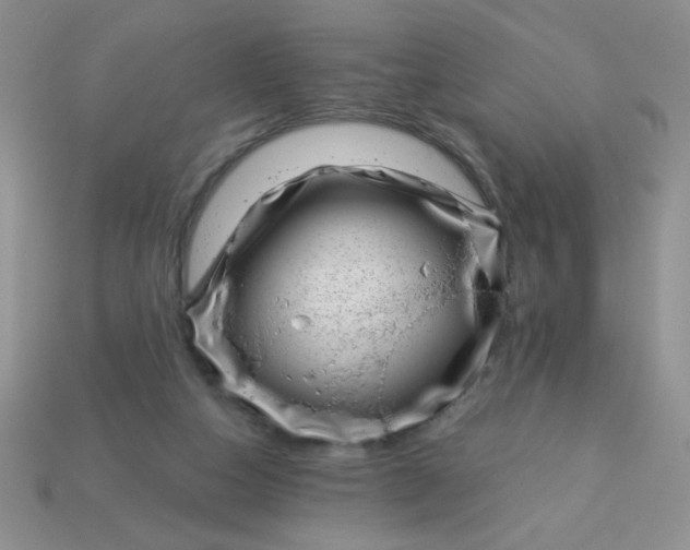 X0000113000162200909101804