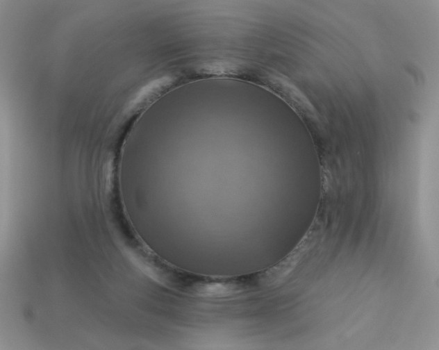 X0000113000163200909101804