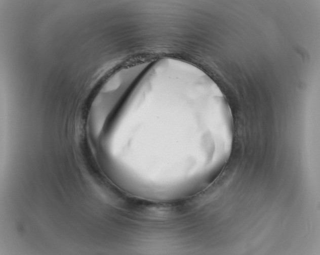 X0000113000164200909101804