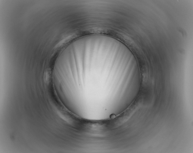 X0000113000165200909101804