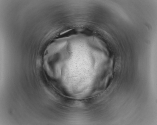 X0000113000166200909101804