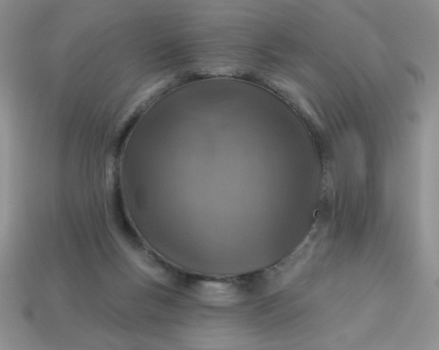 X0000113000167200909101804