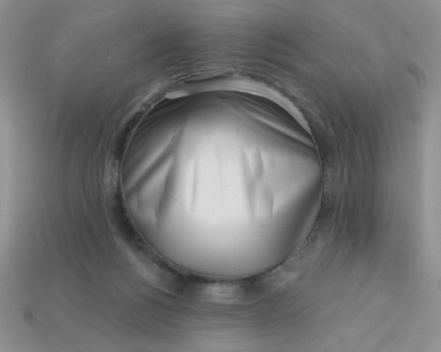 X0000113000168200909101804