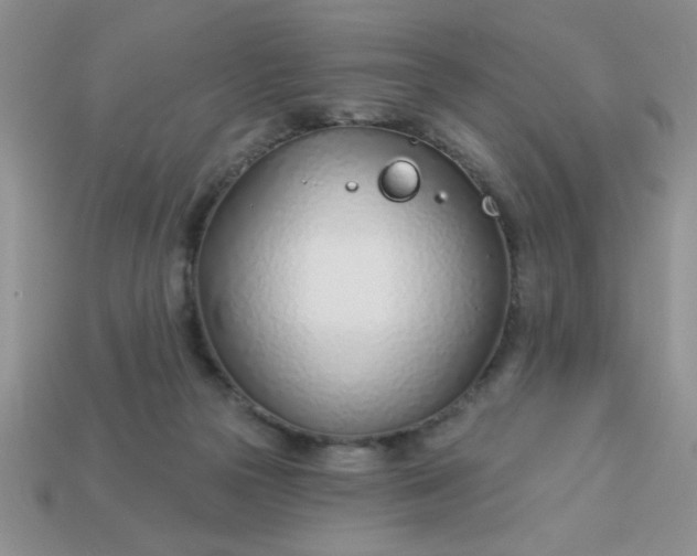 X0000113000169200909101804