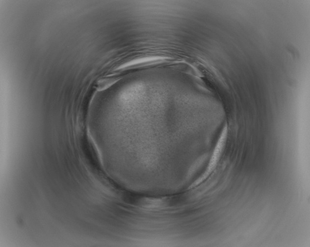 X0000113000170200909101804