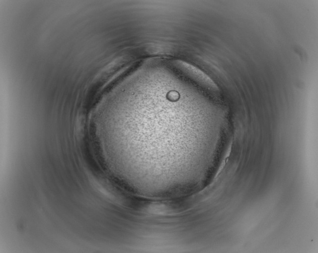 X0000113000171200909101804