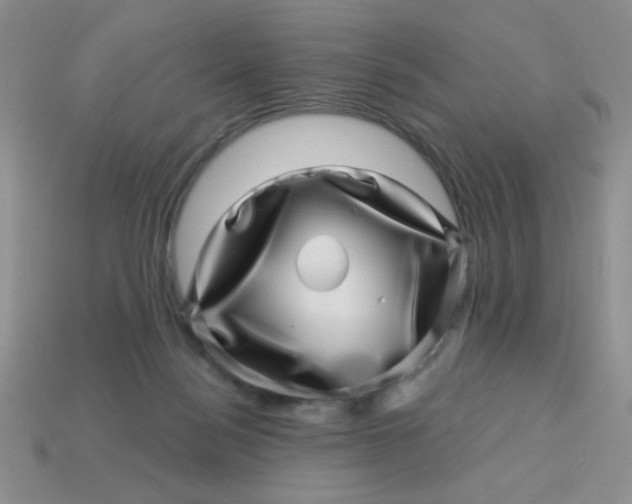 X0000113000172200909101804