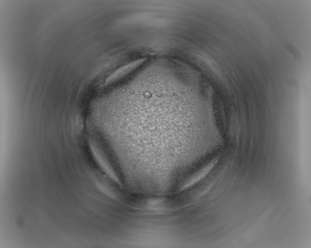 X0000113000173200909101804