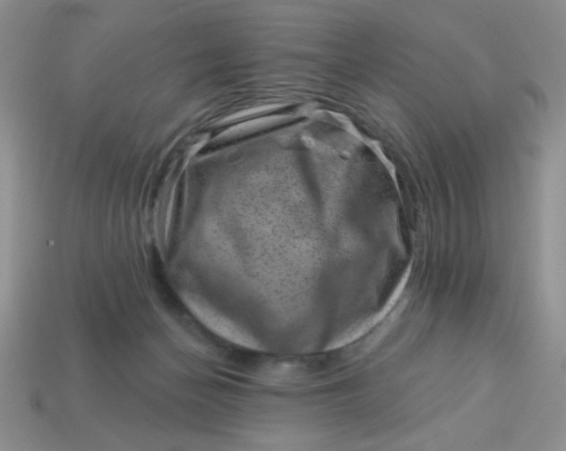 X0000113000174200909101804