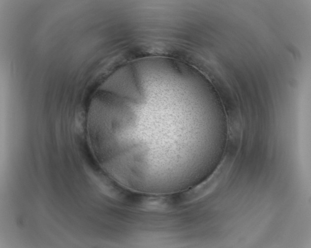 X0000113000175200909101804