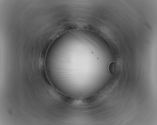 X0000113000177200909101804