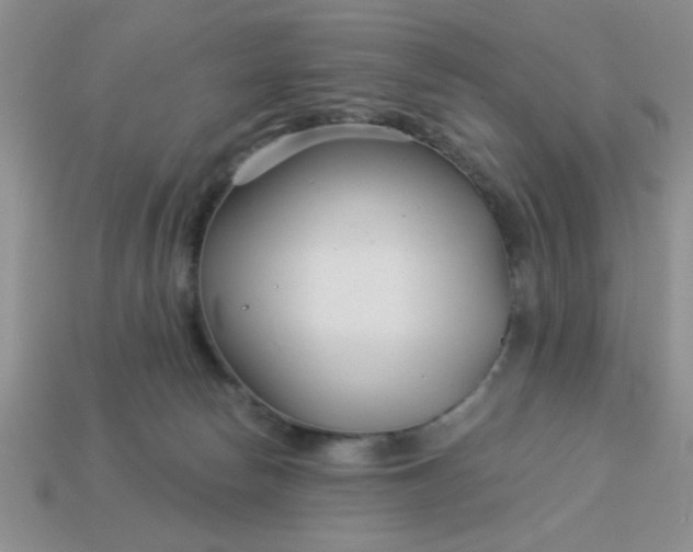 X0000113000178200909101804