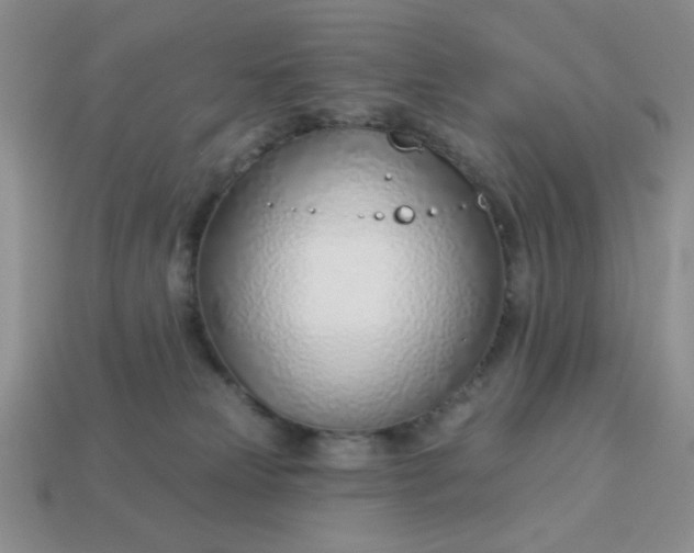 X0000113000181200909101804