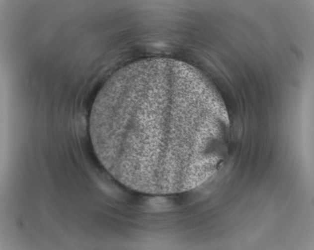 X0000113000183200909101804