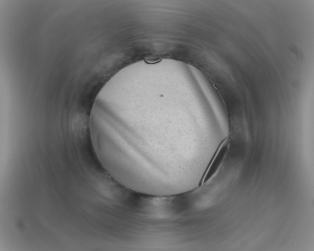 X0000113000184200909101804