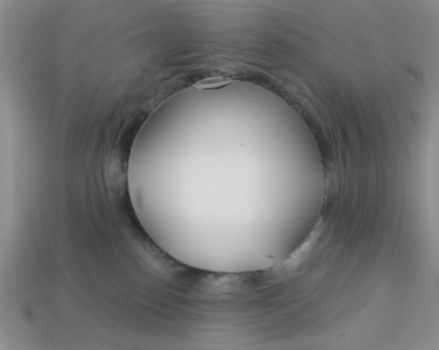 X0000113000186200909101804