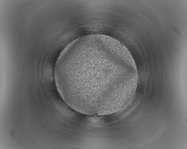 X0000113000187200909101804