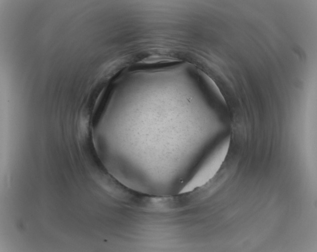 X0000113000188200909101804