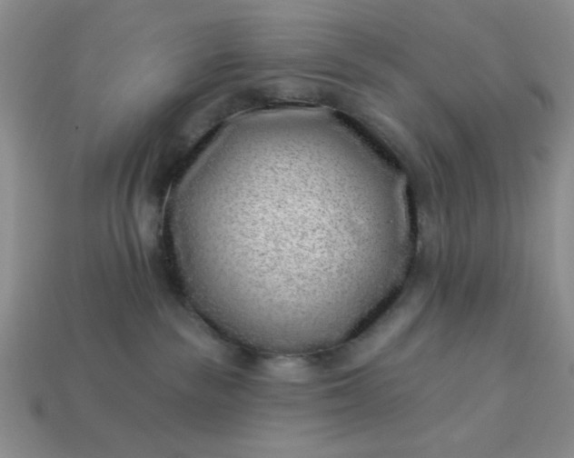 X0000113000189200909101804