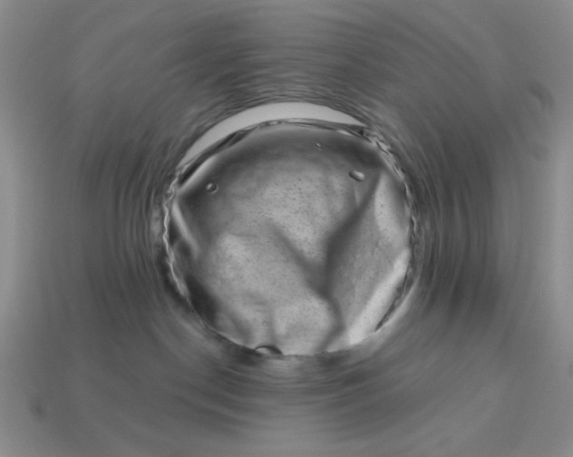 X0000113000190200909101804