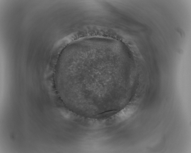 X0000113000192200909101804