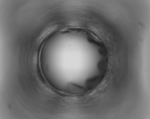 X0000113000194200909101804