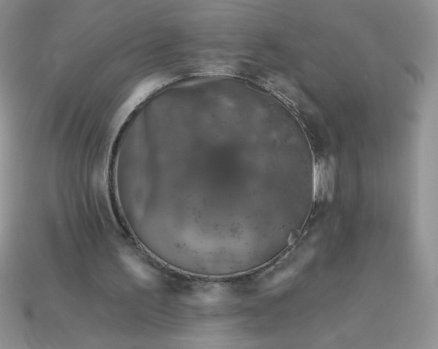 X0000113000195200909101804