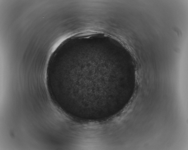 X0000113000196200909101804