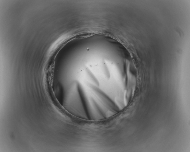 X0000113000197200909101803