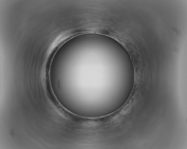 X0000113000198200909101803